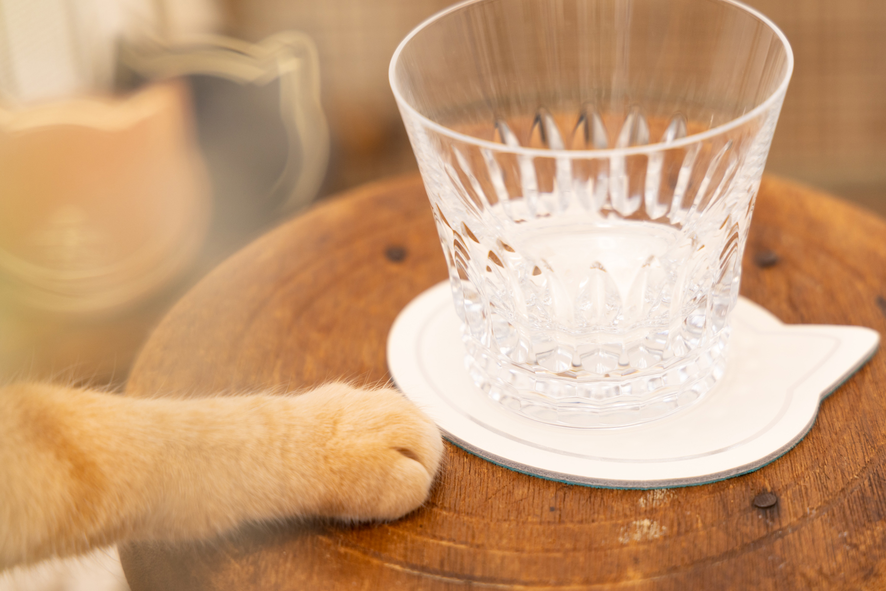 ねこねこ レザーコースター 名入れ記念品