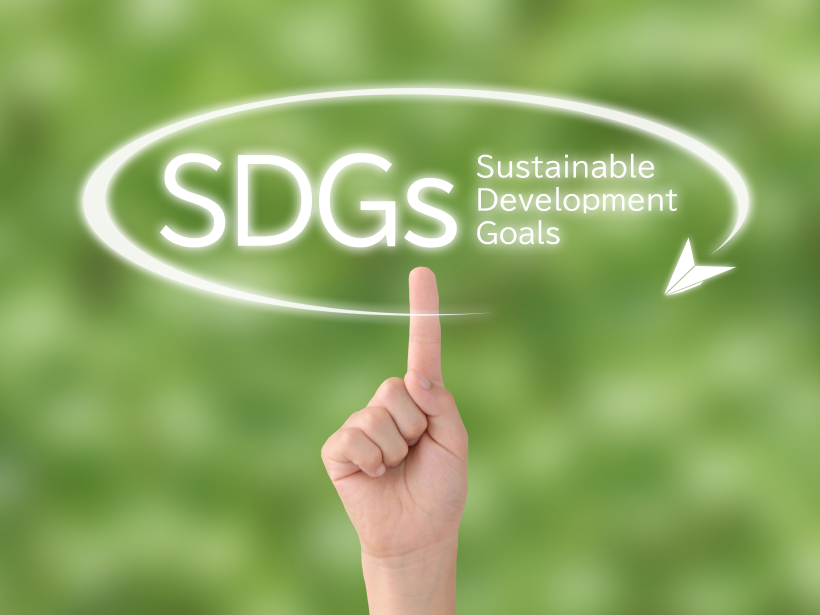 SDGs